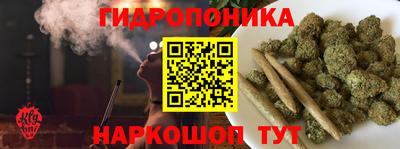 СК Кингисепп