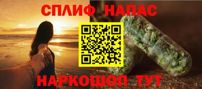 СК Кингисепп