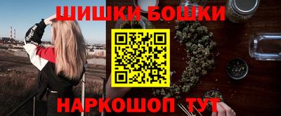 СК Кингисепп