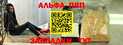 СК Кингисепп