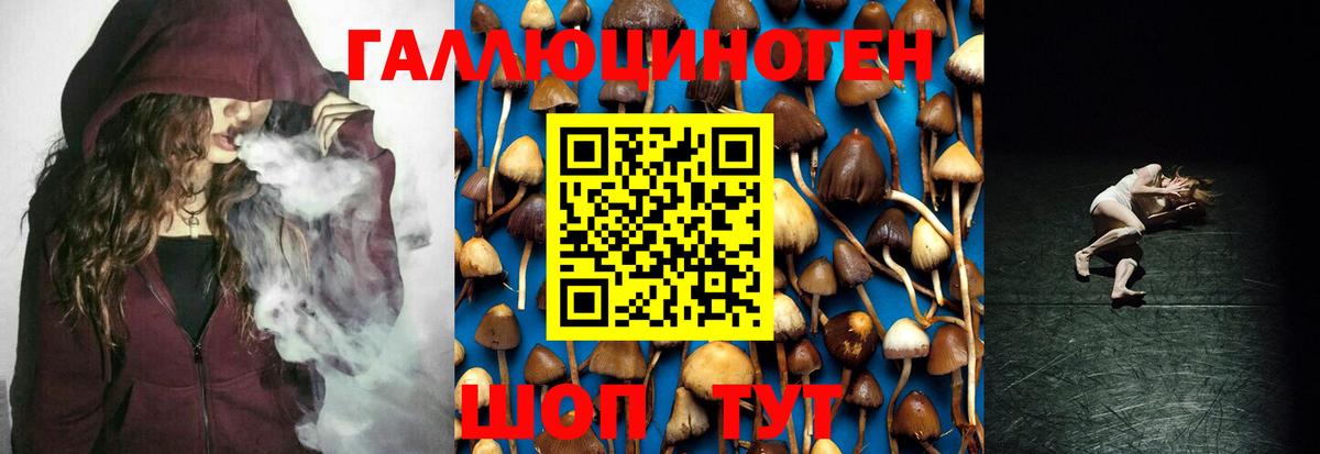 Галлюциногенные грибы MAGIC MUSHROOMS  Вход с VPN  Якутск  Псилоцибиновые грибы ЛСД 